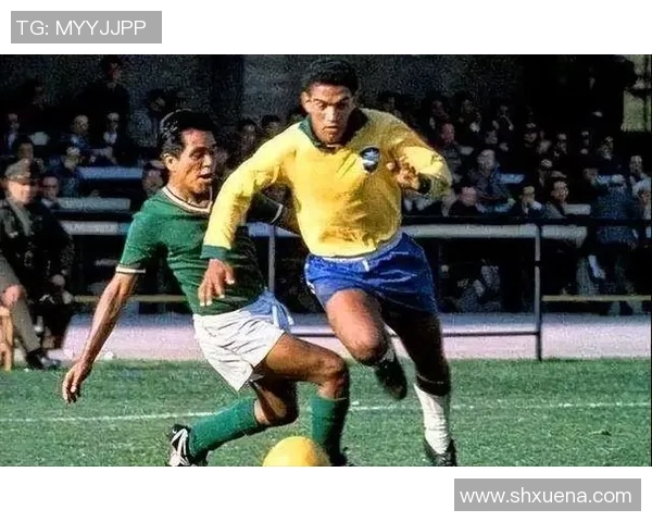 巴西足球明星蓬蓬头的传奇故事与球场风采解析